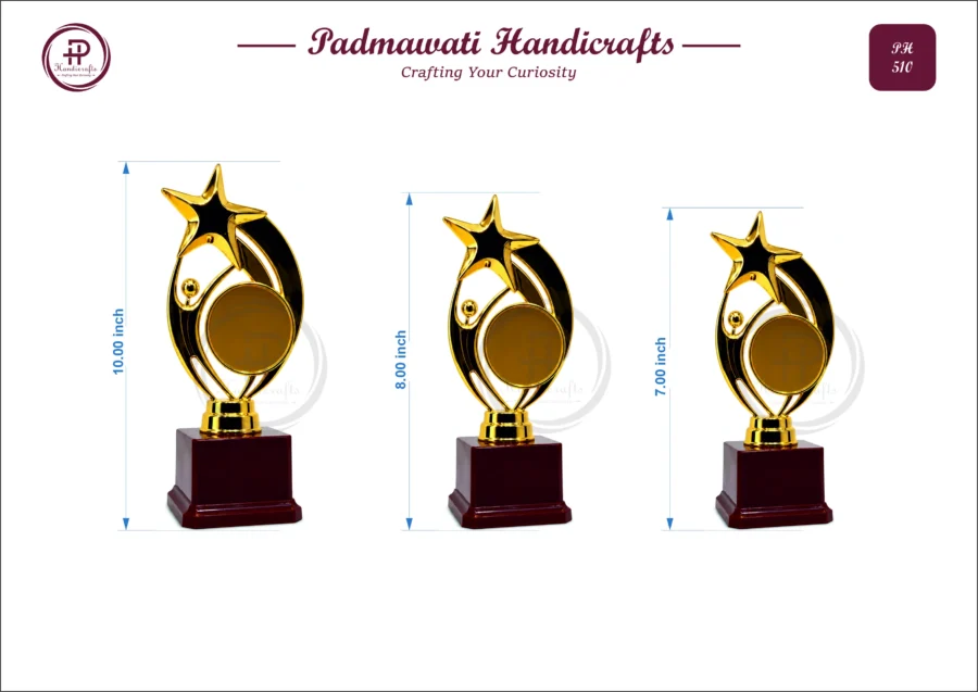 Gold Shooting Star Award (PH-510)