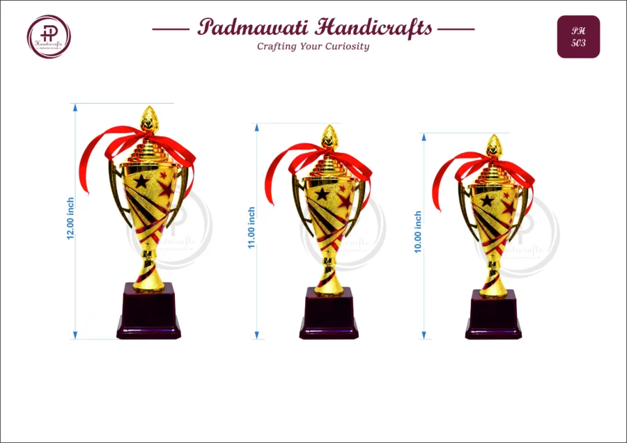 Gold Star-Embossed Trophy Cup (PH-503)