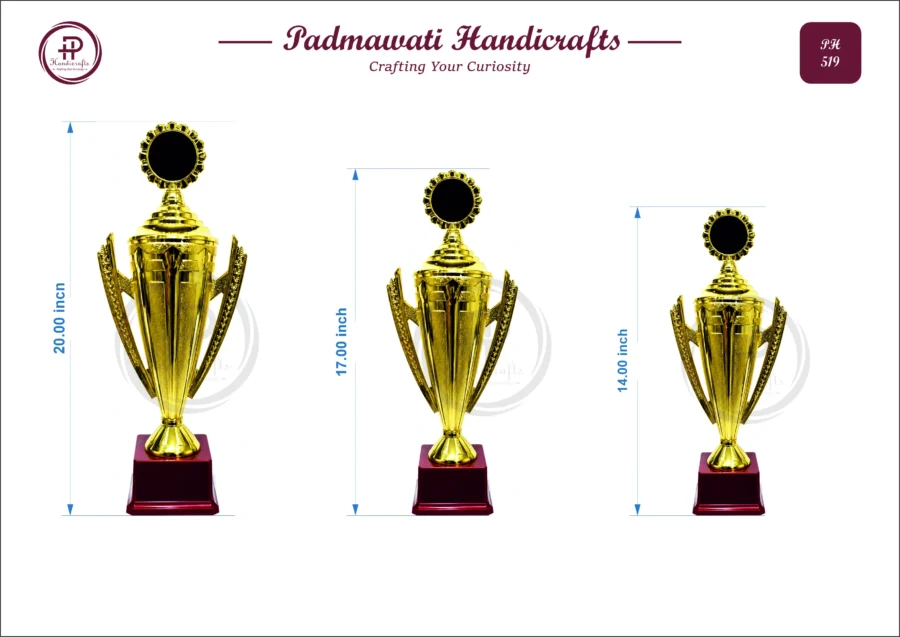 Large Star-Handle Championship Cup (PH-519)